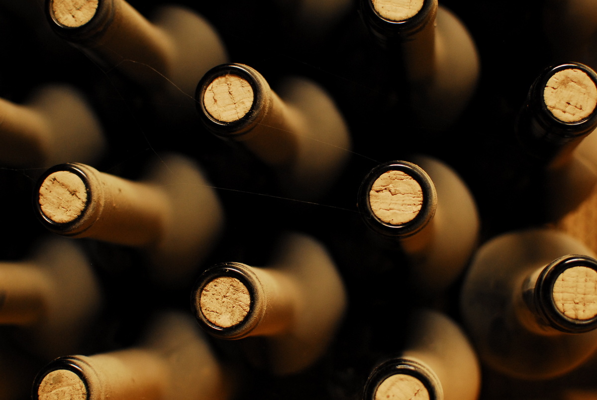 Les conseils du producteur Kingersheim