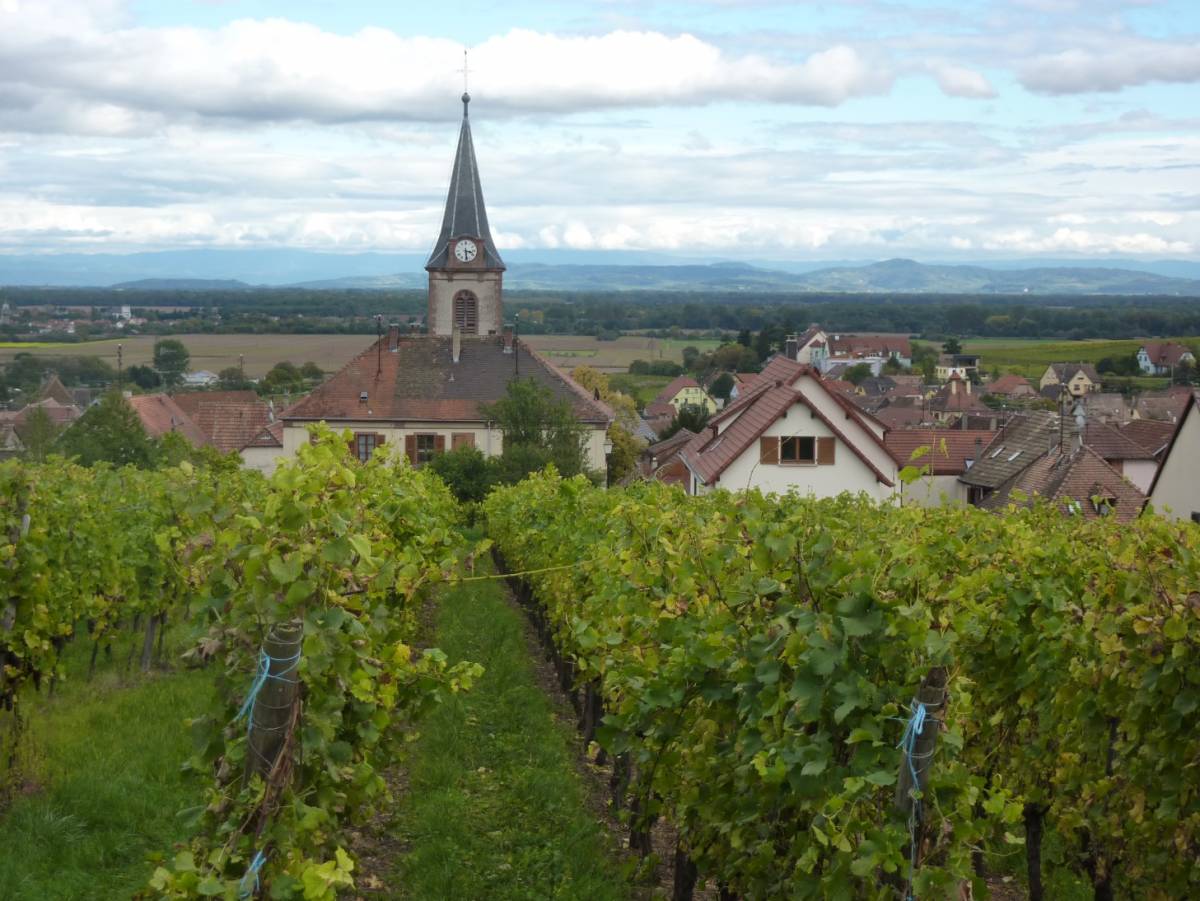 &Agrave; la rencontre des Grands Crus d&rsquo;Alsace : Mandelberg &amp; Sonnenglanz Colmar