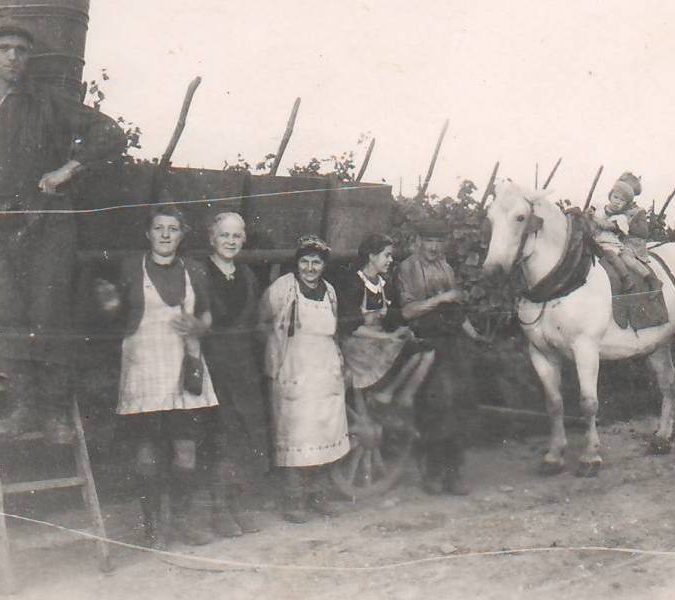 Greiner Schleret Rixheim 1