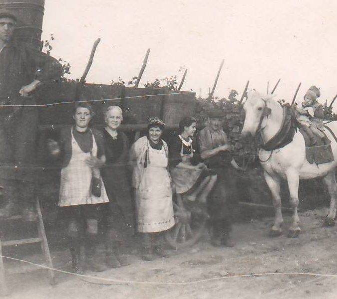 Greiner Schleret Rixheim 1