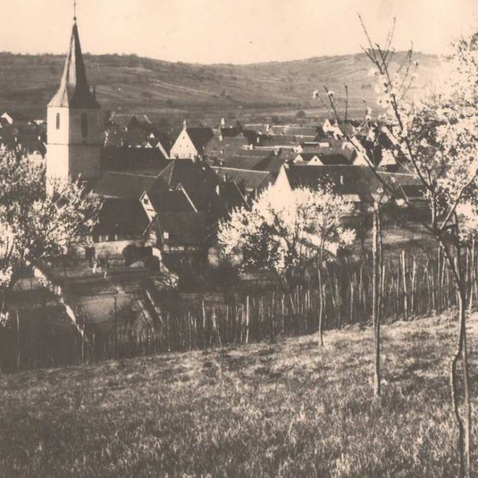 Greiner Schleret Cernay 4