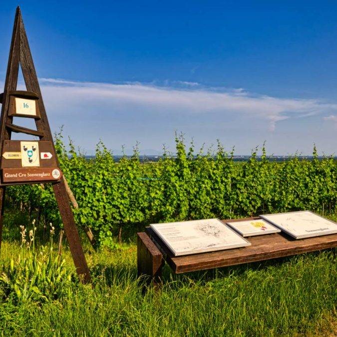 Greiner Schleret Erstein 6