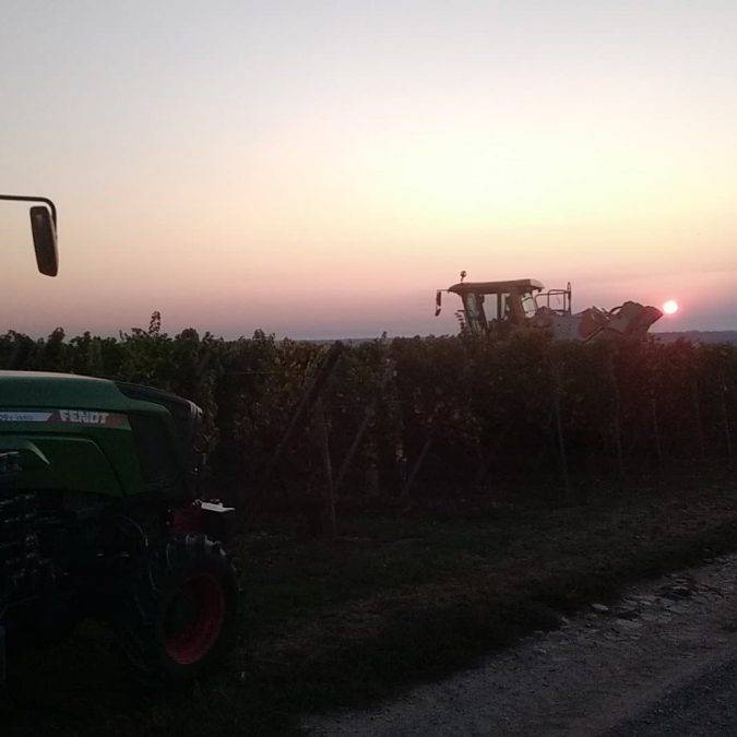 Greiner Schleret Illzach 7