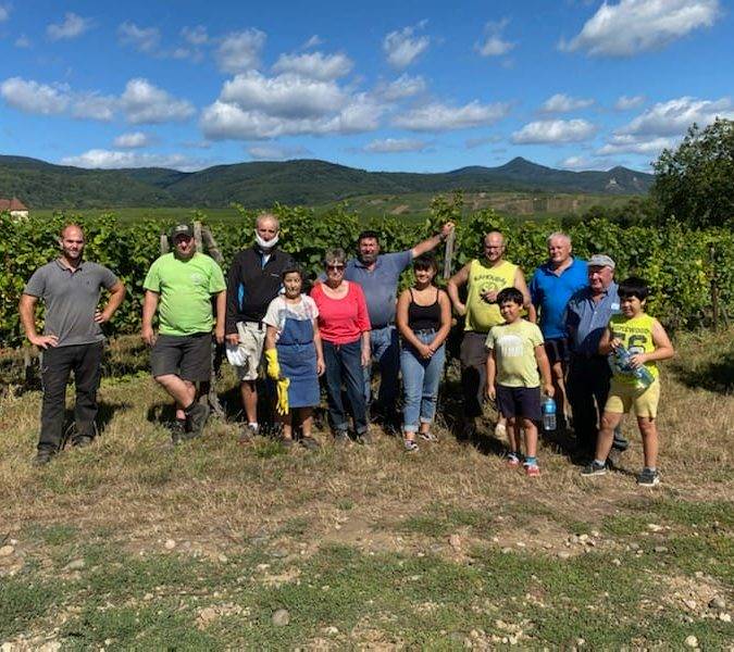 Greiner Schleret Mulhouse 8