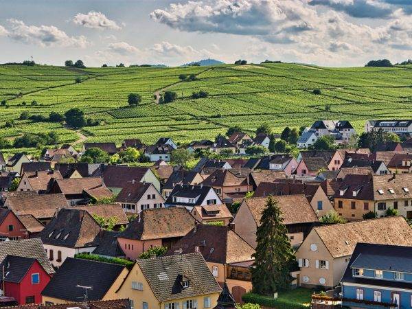 Le Domaine viticole Greiner Schleret Kingersheim 13
