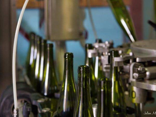 Le Domaine viticole Greiner Schleret Sélestat 14