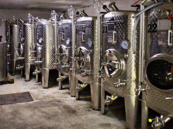 Le Domaine viticole Greiner Schleret Saint-Dié-des-Vosges 16