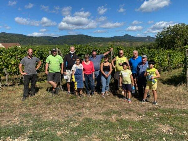 Le Domaine viticole Greiner Schleret Mulhouse 18