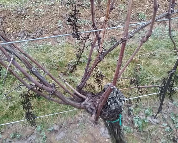 Greiner Schleret Kingersheim 12