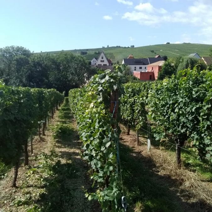 Greiner Schleret Rixheim 13