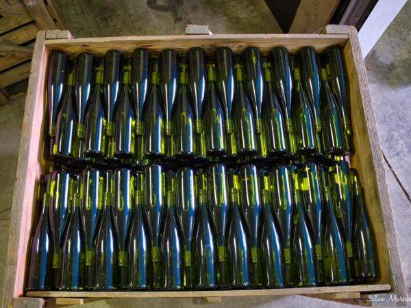 Le Domaine viticole Greiner Schleret Wittenheim 11