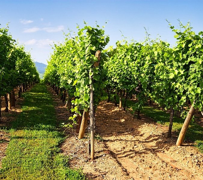 Photos page d’accueil S&eacute;lestat 4