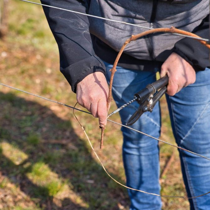 Photos page d’accueil Rixheim 1