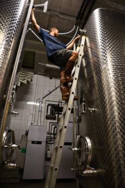 CAVE DE NOEL DOMAINE GREINER SCHLERET 9 1 | Greiner Schleret Noël d’antan chez le vigneron Colmar 1