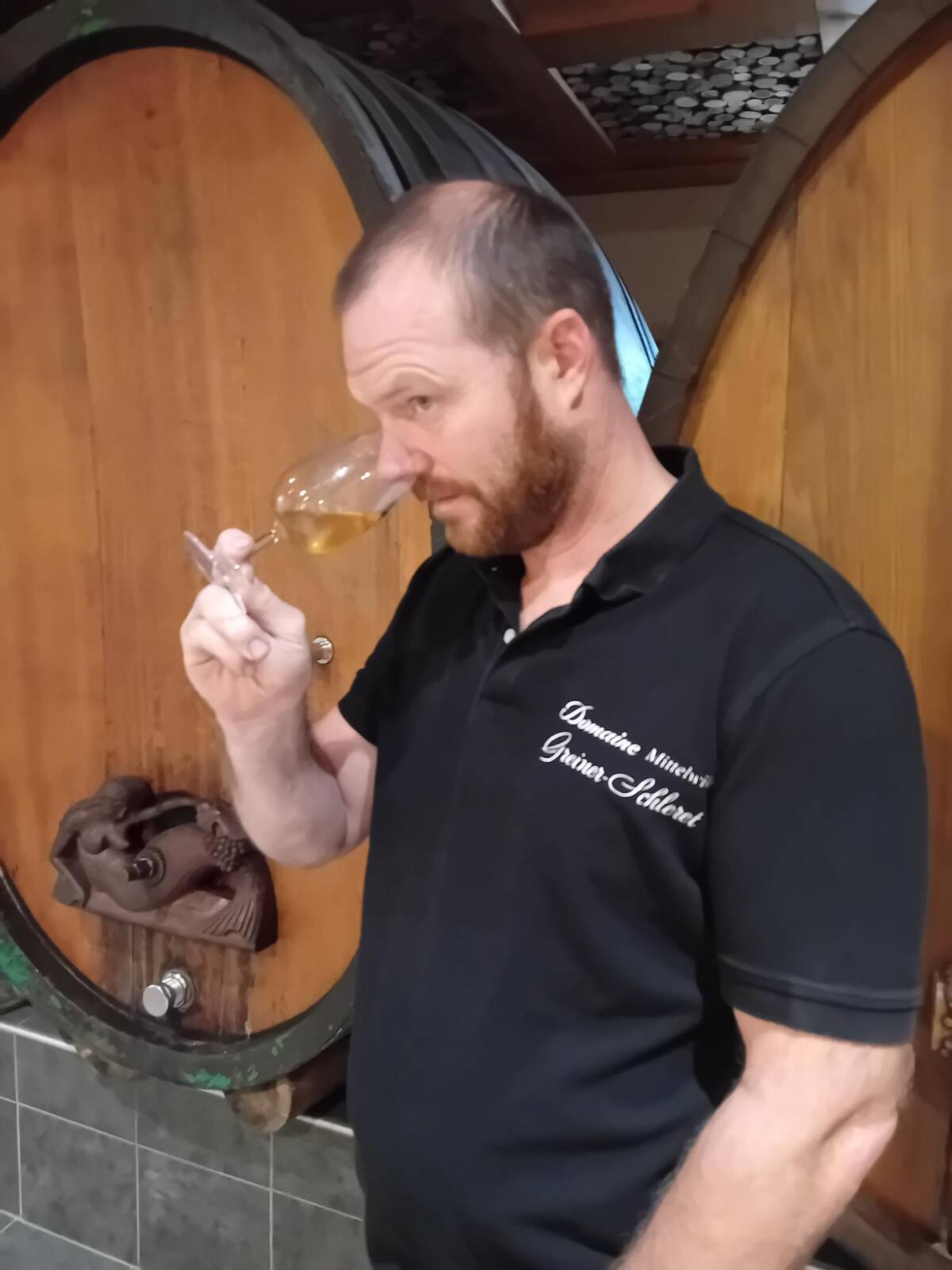 CAVE DE NOEL DOMAINE GREINER SCHLERET 4 1 | Greiner Schleret Le Domaine viticole Greiner Schleret Mulhouse 6