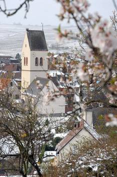 AMANDIERS AU COEUR DE L HIVER | Greiner Schleret Noël d’antan chez le vigneron Erstein 0