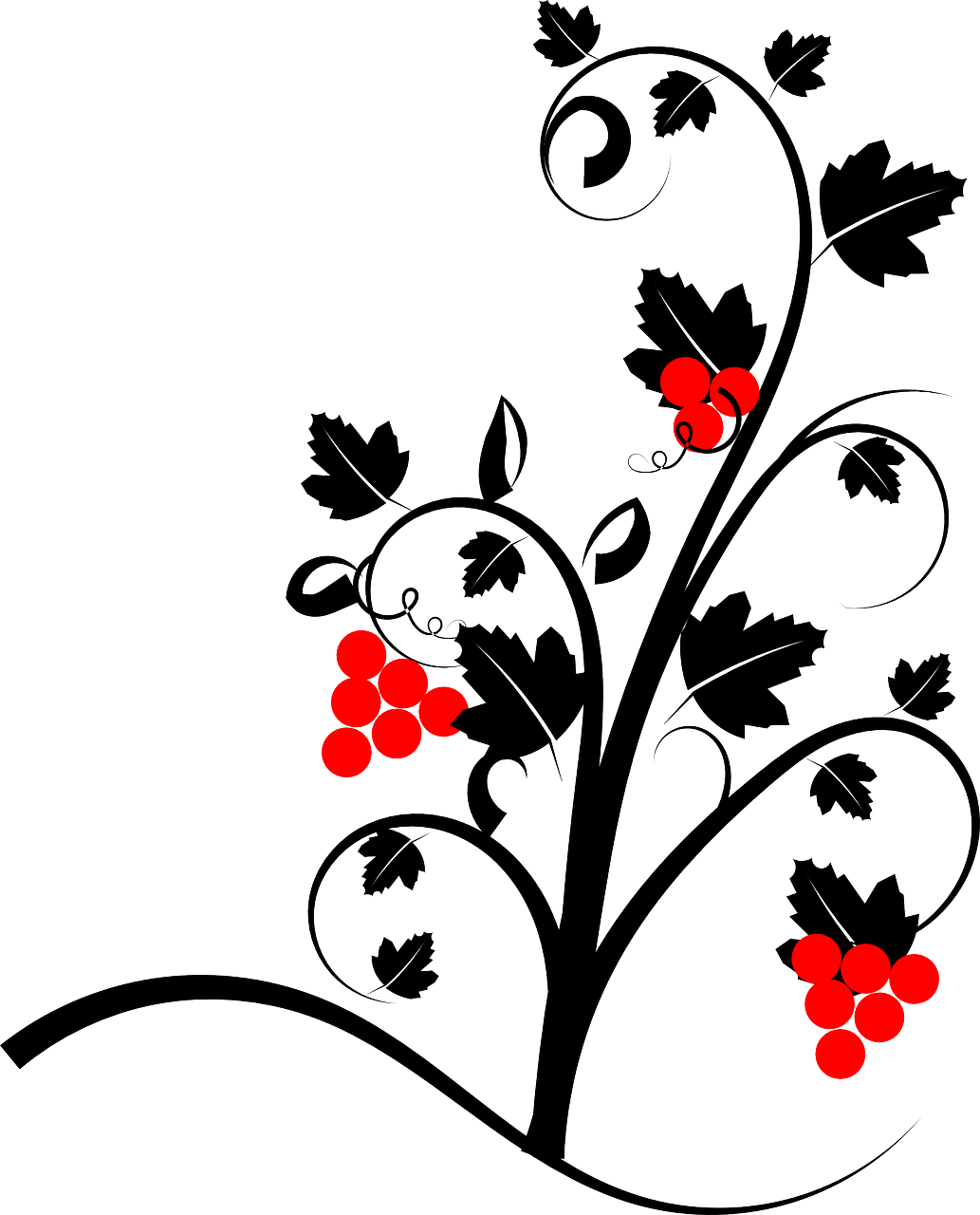La Saint Valentin chez le vigneron Sélestat