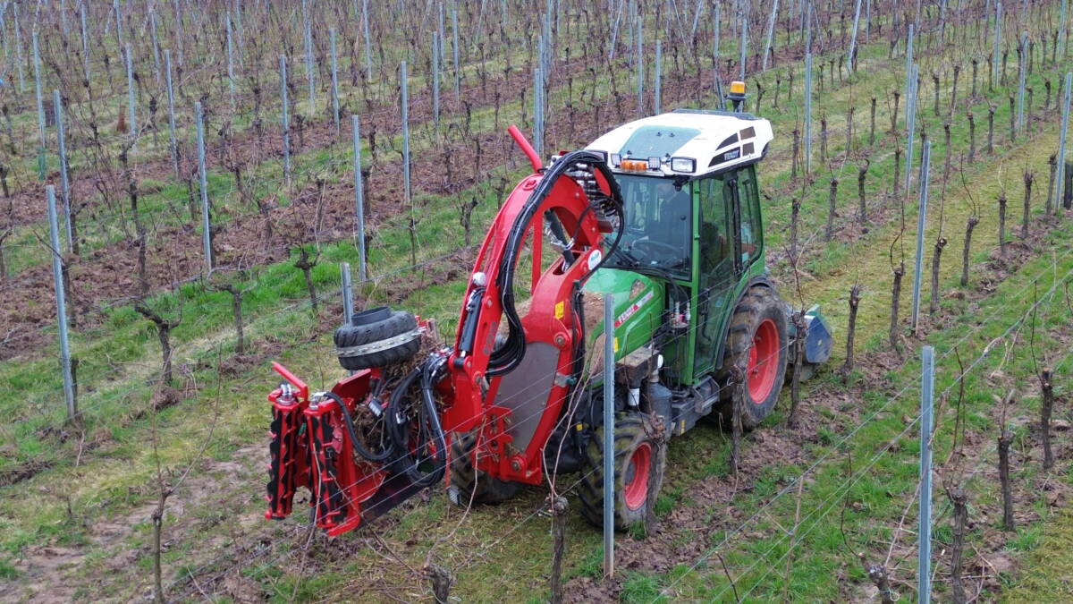 L&#8217;arrachage des bois Illzach