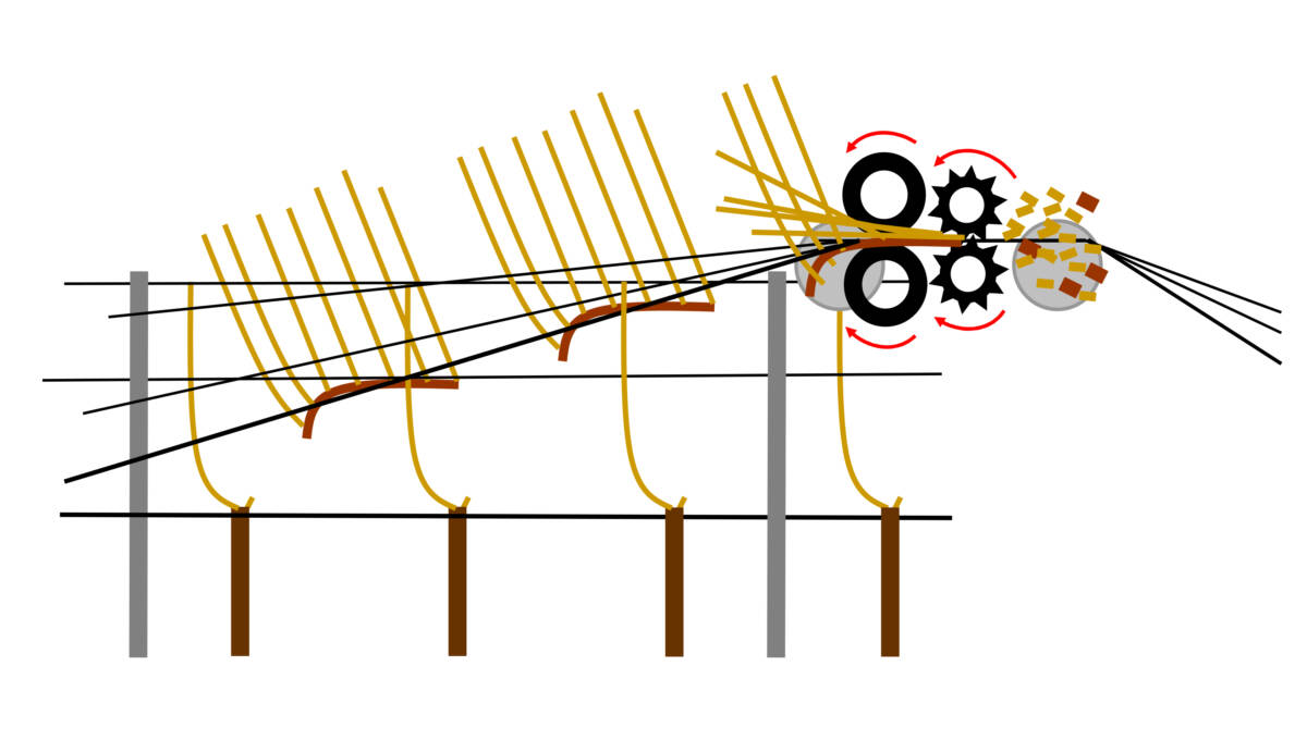 GRAFIK_VITECO_2 | Greiner Schleret L’arrachage des bois Sélestat 2