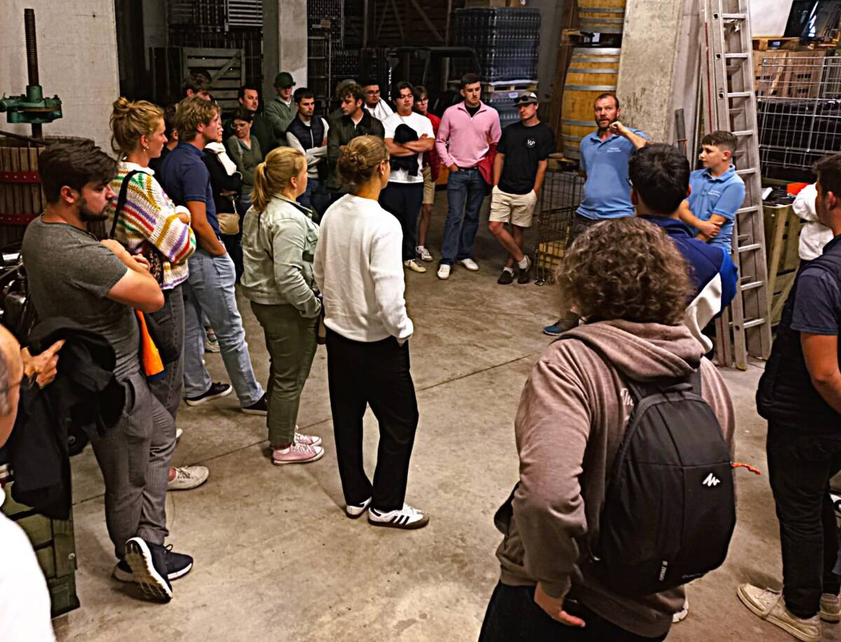 Visite et d&eacute;gustation S&eacute;lestat 0