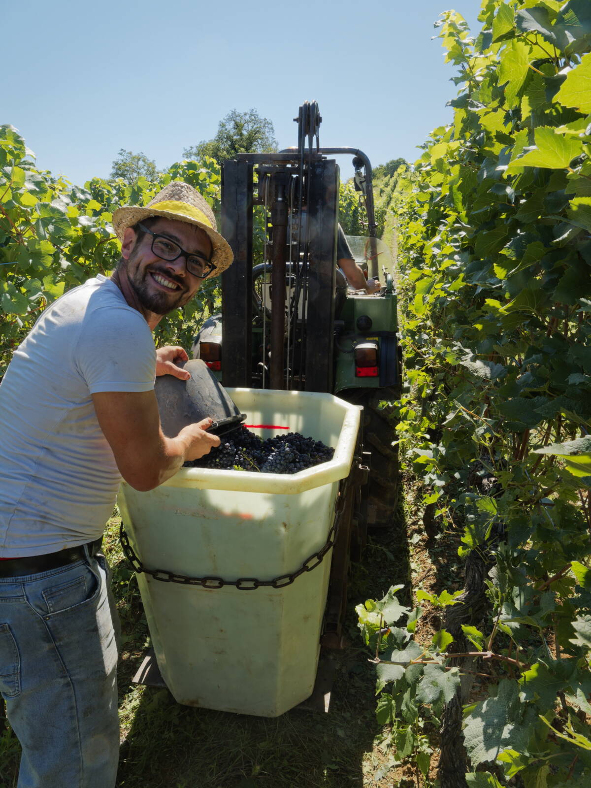 8250214_DXO | Greiner Schleret Le Domaine viticole Greiner Schleret Mulhouse 18