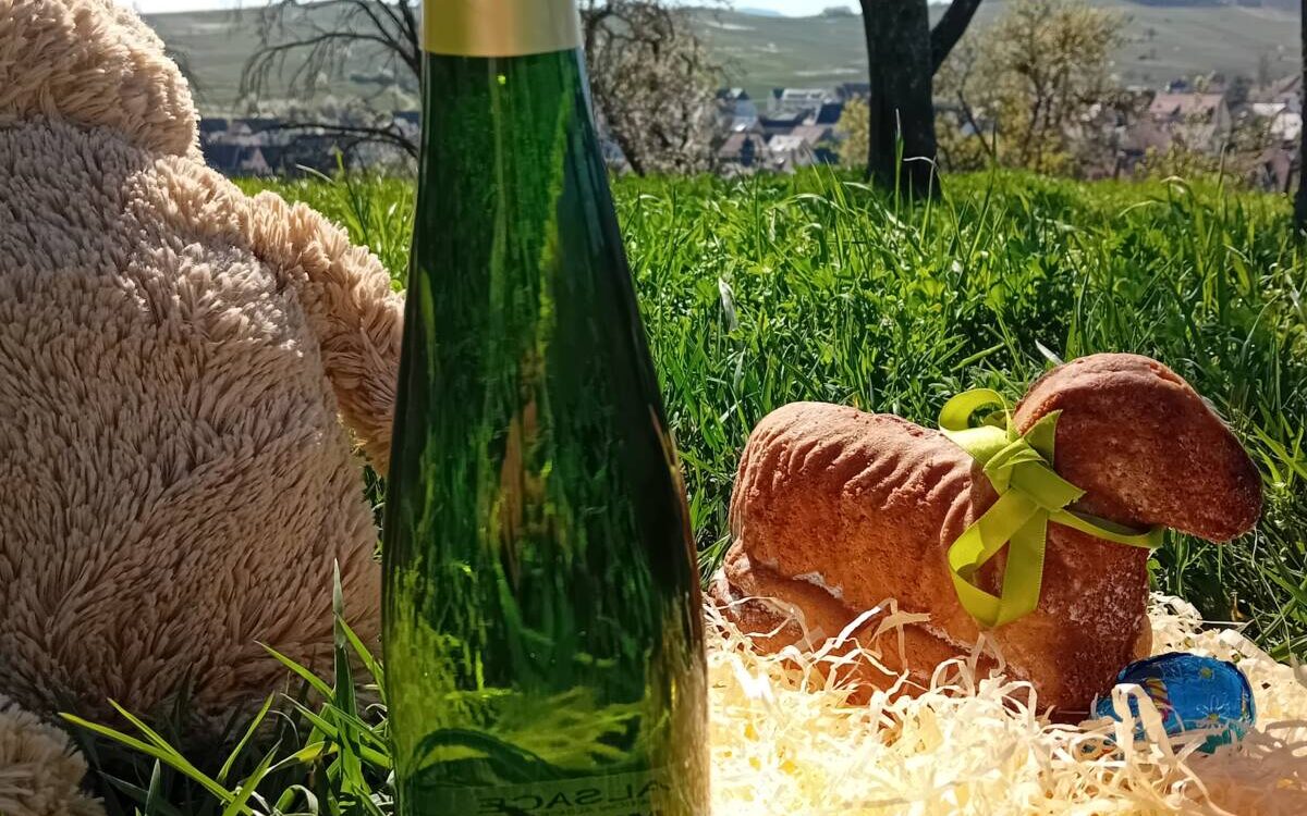 Le Muscat d’Alsace, la star du Printemps Erstein