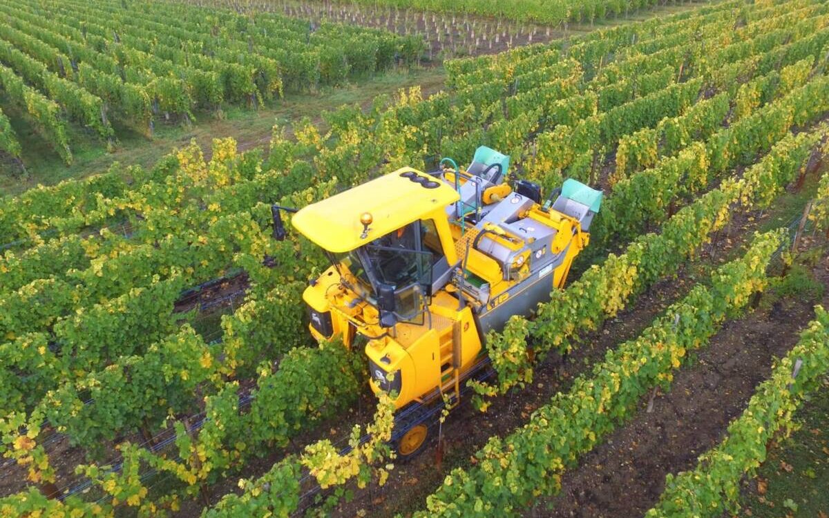 457191382_997079175451176_9079852683683742510_N 1200X750 | Greiner Schleret Vendange mécanique en Alsace : de nouvelles machines Grégoire pour une prestation toujours plus performante Cernay