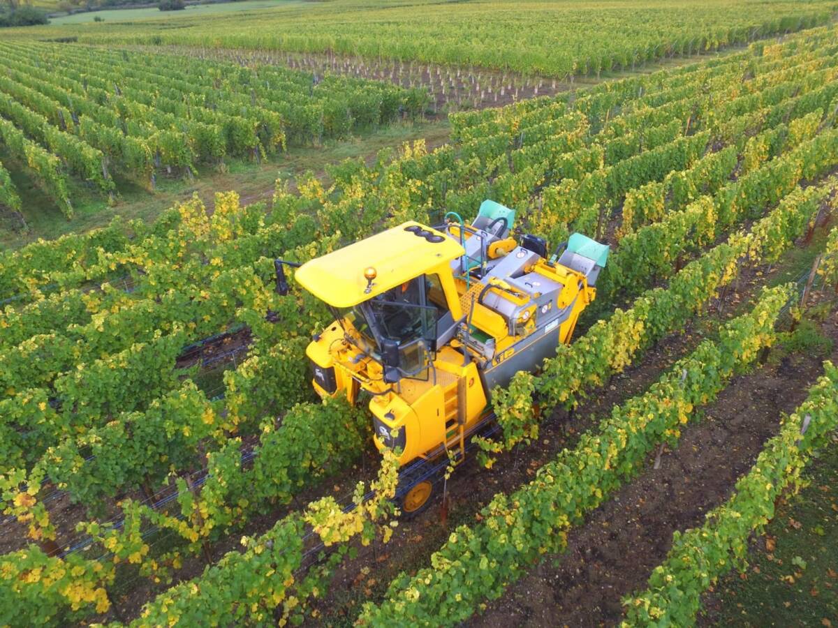 Vendange m&eacute;canique en Alsace : de nouvelles machines Gr&eacute;goire pour une prestation toujours plus performante Cernay